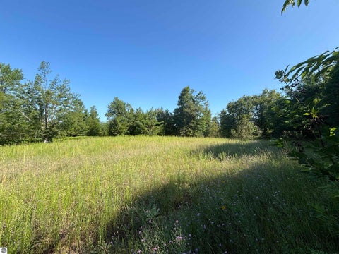 Tiny photo for 628 Badgley Road, Vanderbilt, MI 49795 (MLS # 1948988)
