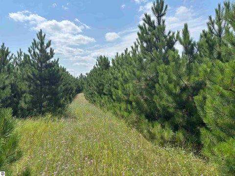 Tiny photo for 628 Badgley Road, Vanderbilt, MI 49795 (MLS # 1948988)