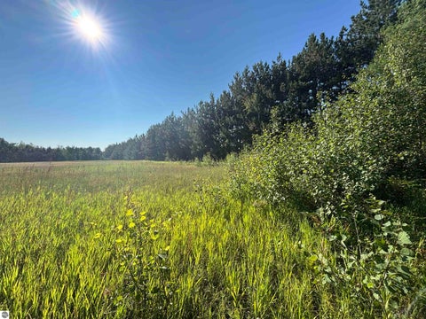 Tiny photo for 628 Badgley Road, Vanderbilt, MI 49795 (MLS # 1948988)