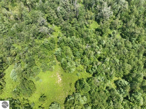 Tiny photo for 628 Badgley Road, Vanderbilt, MI 49795 (MLS # 1948988)