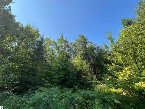 Tiny photo for 628 Badgley Road, Vanderbilt, MI 49795 (MLS # 1948988)