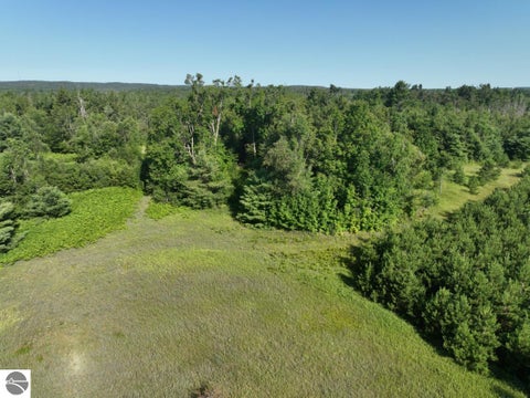 Tiny photo for 628 Badgley Road, Vanderbilt, MI 49795 (MLS # 1948988)