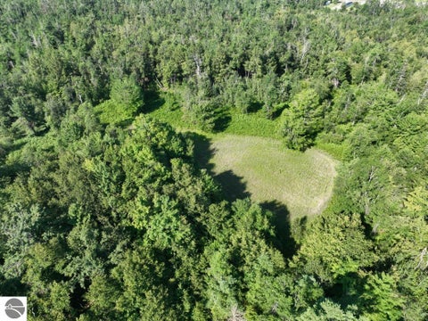 Tiny photo for 628 Badgley Road, Vanderbilt, MI 49795 (MLS # 1948988)