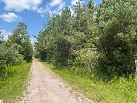 Tiny photo for 628 Badgley Road, Vanderbilt, MI 49795 (MLS # 1948988)