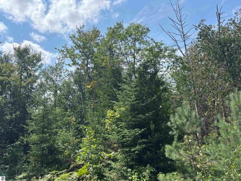 Tiny photo for 628 Badgley Road, Vanderbilt, MI 49795 (MLS # 1948988)