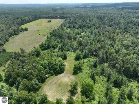 Tiny photo for 628 Badgley Road, Vanderbilt, MI 49795 (MLS # 1948988)
