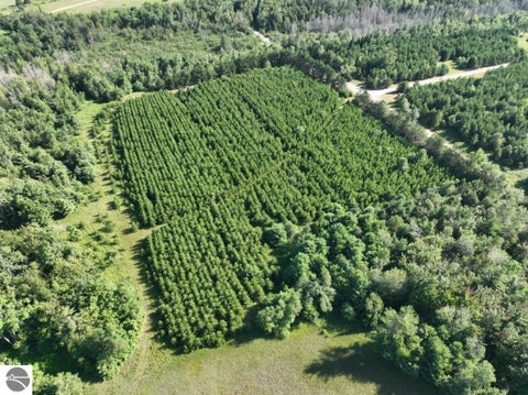 Tiny photo for 628 Badgley Road, Vanderbilt, MI 49795 (MLS # 1948988)