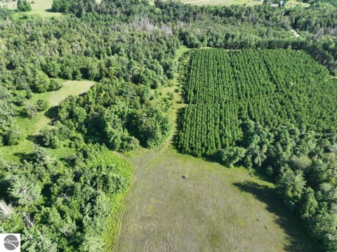 Tiny photo for 628 Badgley Road, Vanderbilt, MI 49795 (MLS # 1948988)