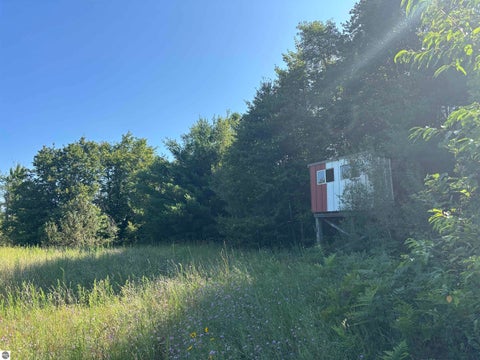 Tiny photo for 628 Badgley Road, Vanderbilt, MI 49795 (MLS # 1948988)