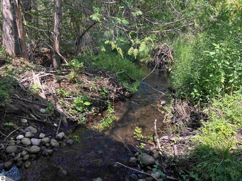 Tiny photo for 628 Badgley Road, Vanderbilt, MI 49795 (MLS # 1948988)