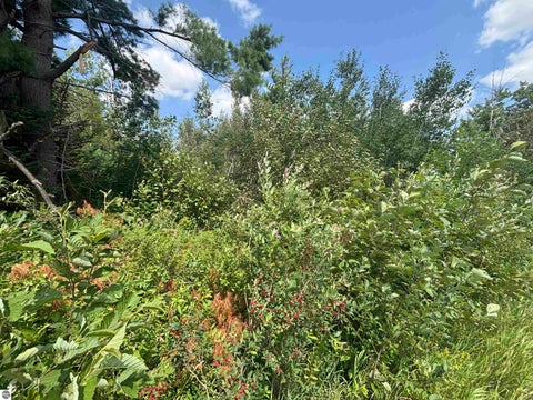 Tiny photo for 628 Badgley Road, Vanderbilt, MI 49795 (MLS # 1948988)