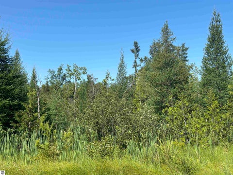 Tiny photo for 628 Badgley Road, Vanderbilt, MI 49795 (MLS # 1948988)