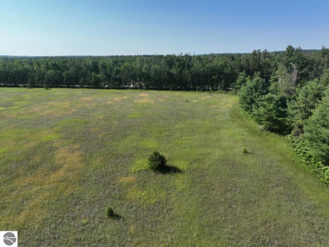 Tiny photo for 628 Badgley Road, Vanderbilt, MI 49795 (MLS # 1948988)