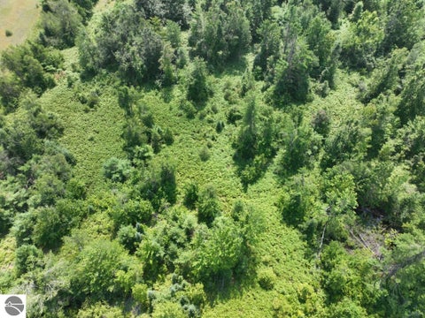 Tiny photo for 628 Badgley Road, Vanderbilt, MI 49795 (MLS # 1948988)