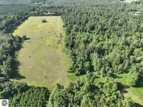 Tiny photo for 628 Badgley Road, Vanderbilt, MI 49795 (MLS # 1948988)