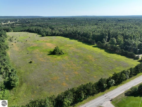 Tiny photo for 628 Badgley Road, Vanderbilt, MI 49795 (MLS # 1948988)