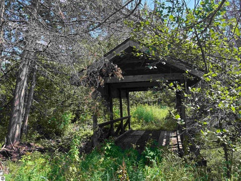 Tiny photo for 628 Badgley Road, Vanderbilt, MI 49795 (MLS # 1948988)