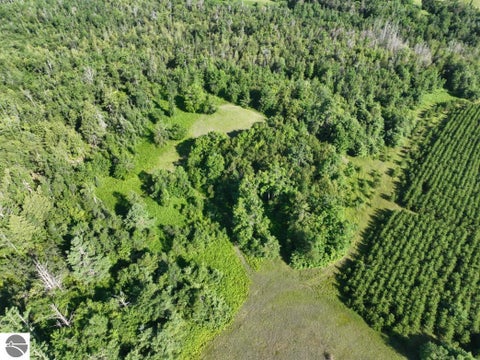Tiny photo for 628 Badgley Road, Vanderbilt, MI 49795 (MLS # 1948988)
