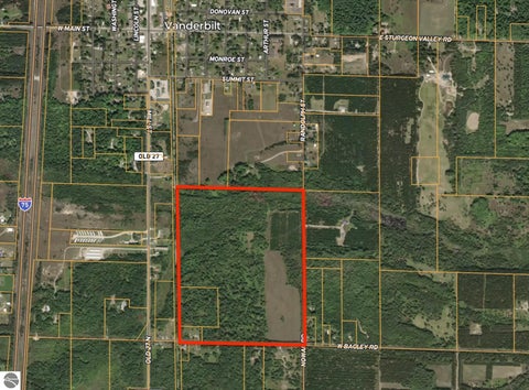 Tiny photo for 628 Badgley Road, Vanderbilt, MI 49795 (MLS # 1948988)