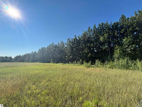Tiny photo for 628 Badgley Road, Vanderbilt, MI 49795 (MLS # 1948988)