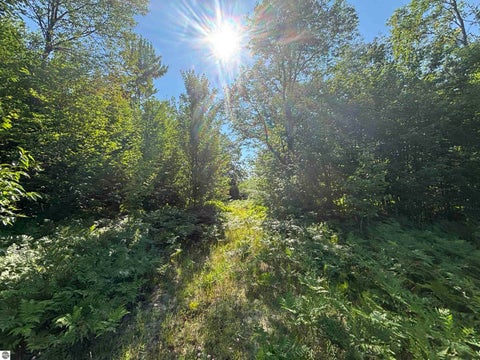 Tiny photo for 628 Badgley Road, Vanderbilt, MI 49795 (MLS # 1948988)