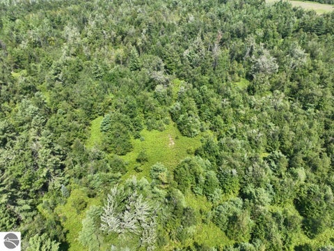 Tiny photo for 628 Badgley Road, Vanderbilt, MI 49795 (MLS # 1948988)