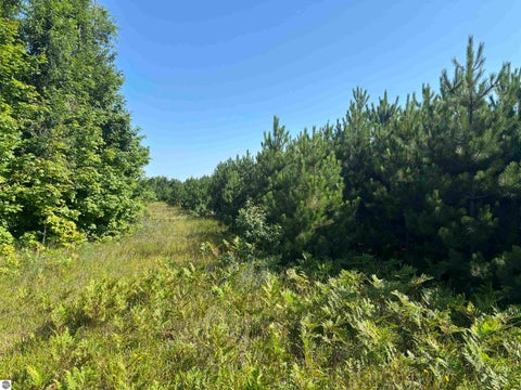 Tiny photo for 628 Badgley Road, Vanderbilt, MI 49795 (MLS # 1948988)