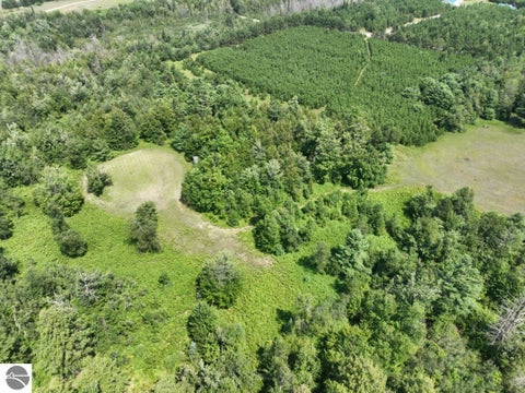 Tiny photo for 628 Badgley Road, Vanderbilt, MI 49795 (MLS # 1948988)