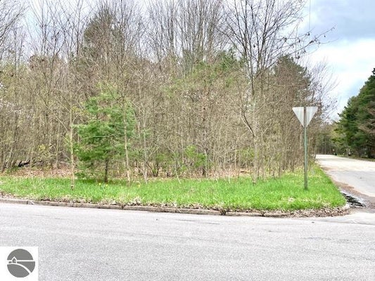 BROOK AVE, KALEVA, MI 49645 - Image d97a2372e9fa47da112a35d3f5e456d9/397959471