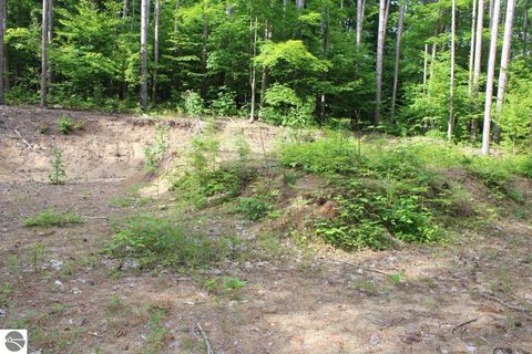 Tiny photo for 2750 NE Apple Creek Road, Kalkaska, MI 49646 (MLS # 1947520)