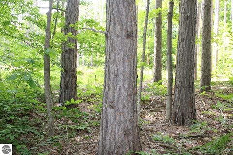 Tiny photo for 2750 NE Apple Creek Road, Kalkaska, MI 49646 (MLS # 1947520)