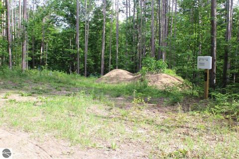 Tiny photo for 2750 NE Apple Creek Road, Kalkaska, MI 49646 (MLS # 1947520)