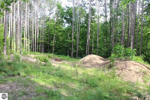Tiny photo for 2750 NE Apple Creek Road, Kalkaska, MI 49646 (MLS # 1947520)