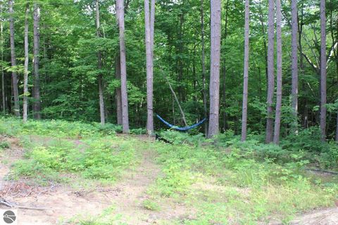 Tiny photo for 2750 NE Apple Creek Road, Kalkaska, MI 49646 (MLS # 1947520)