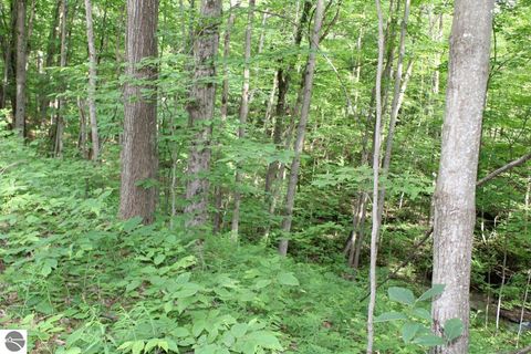 Tiny photo for 2750 NE Apple Creek Road, Kalkaska, MI 49646 (MLS # 1947520)