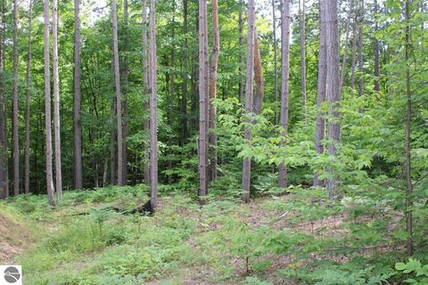 Tiny photo for 2750 NE Apple Creek Road, Kalkaska, MI 49646 (MLS # 1947520)