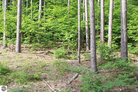 Tiny photo for 2750 NE Apple Creek Road, Kalkaska, MI 49646 (MLS # 1947520)