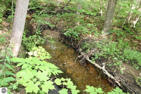 Tiny photo for 2750 NE Apple Creek Road, Kalkaska, MI 49646 (MLS # 1947520)