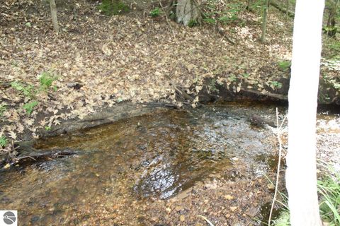 Tiny photo for 2750 NE Apple Creek Road, Kalkaska, MI 49646 (MLS # 1947520)