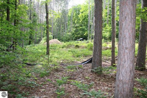 Tiny photo for 2750 NE Apple Creek Road, Kalkaska, MI 49646 (MLS # 1947520)