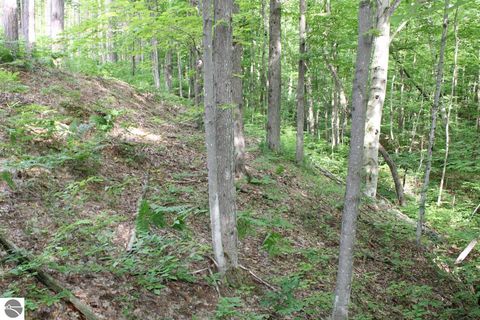 Tiny photo for 2750 NE Apple Creek Road, Kalkaska, MI 49646 (MLS # 1947520)