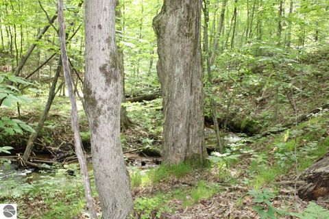 Tiny photo for 2750 NE Apple Creek Road, Kalkaska, MI 49646 (MLS # 1947520)