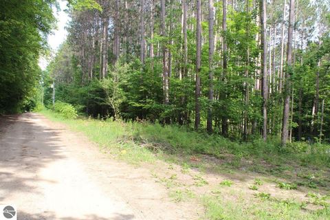 Tiny photo for 2750 NE Apple Creek Road, Kalkaska, MI 49646 (MLS # 1947520)