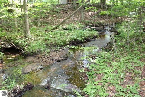 Tiny photo for 2750 NE Apple Creek Road, Kalkaska, MI 49646 (MLS # 1947520)