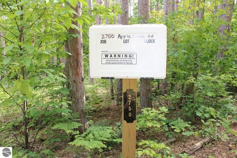 Tiny photo for 2750 NE Apple Creek Road, Kalkaska, MI 49646 (MLS # 1947520)