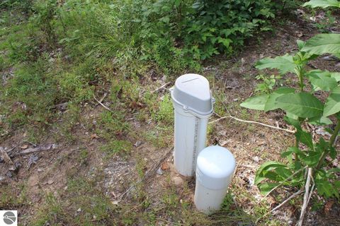 Tiny photo for 2750 NE Apple Creek Road, Kalkaska, MI 49646 (MLS # 1947520)