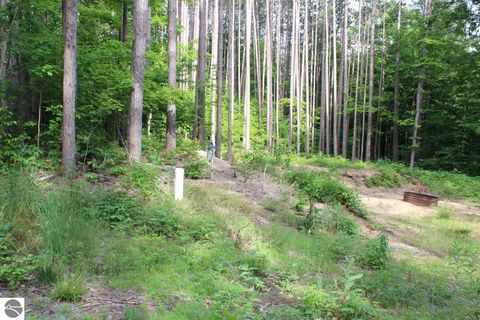 Tiny photo for 2750 NE Apple Creek Road, Kalkaska, MI 49646 (MLS # 1947520)
