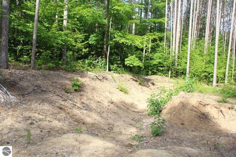 Tiny photo for 2750 NE Apple Creek Road, Kalkaska, MI 49646 (MLS # 1947520)