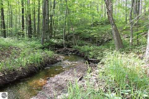 Tiny photo for 2750 NE Apple Creek Road, Kalkaska, MI 49646 (MLS # 1947520)