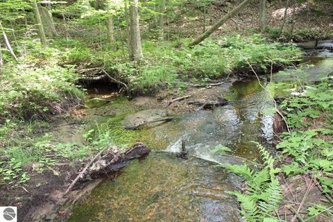 Tiny photo for 2750 NE Apple Creek Road, Kalkaska, MI 49646 (MLS # 1947520)